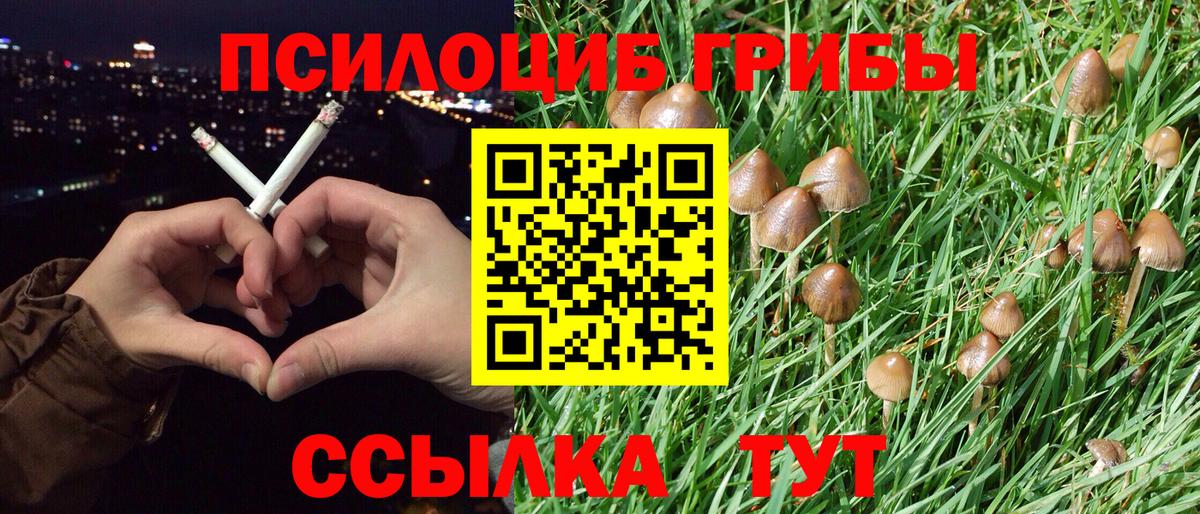 Псилоцибиновые грибы Psilocybe  закладка  Красногорск  Вход с VPN 